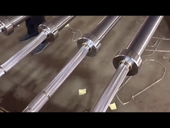 Barre olympique professionnelle de levage de poids d'accessoires de séance d'entraînement de gymnase