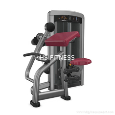 Équipement de remise en forme de biceps assis parfait