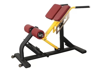 Équipement commercial Roman Ab Exercise Chair de forme physique de support de banc de poids de gymnase