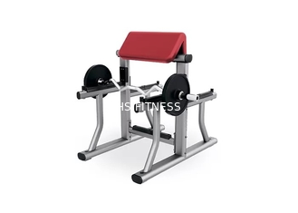 Équipement à la maison de boucle de bras de biceps de forme physique de séance d'entraînement de petit de gymnase de poids support de banc