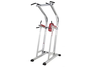 La force commerciale d'équipement de gymnase de forme physique de la vie a aidé Chin Dip Leg Raise Machine