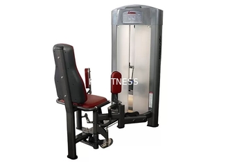 Tube elliptique fonctionnel de la machine 3.5mm d'invocation de jambe de hanche de forme physique de la vie