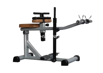 machine de veau posée par force durable en acier de forme physique de la vie de gymnase de 66kg Q235