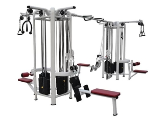 Machine multi de gymnase de station de la forme physique 8 de jungle d'équipement de gymnase de musculation
