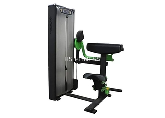 L'exercice professionnel de matériel de formation/gymnase de force de Matrix a posé la machine de boucle de biceps