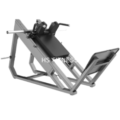 Petit prix de haute qualité professionnel Sissy Squat Machine de débouché d'usine de Smith Machine Gym Squat Rack