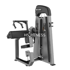 Machine posée commerciale de triceps pour la séance d'entraînement de club de gymnase