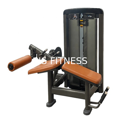Appareil de remise en forme des jambes courbées à genoux