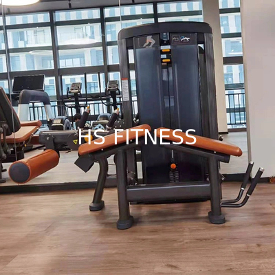 Appareil de remise en forme des jambes courbées à genoux