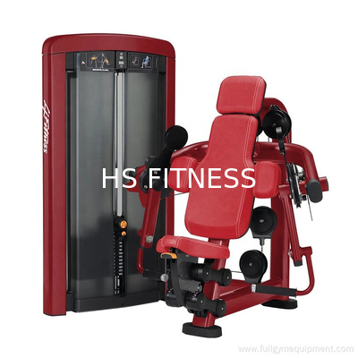 Produits de remise en forme en intérieur, machines de remise en forme de biceps de divertissement