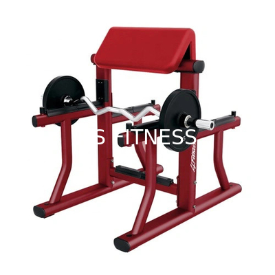 Commercial arm curl banc prédicateur curl banc de gym