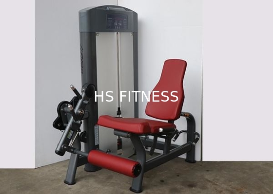 Équipement en acier de force de forme physique de la vie de Q235#, boucle de jambe encline de fonction multi et machine posée d'extension de jambe