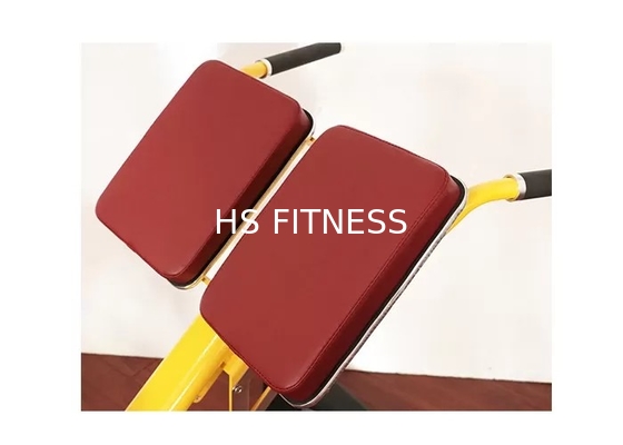 Équipement commercial Roman Ab Exercise Chair de forme physique de support de banc de poids de gymnase