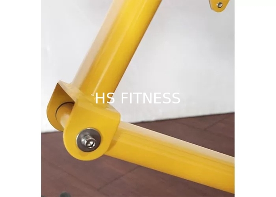 Équipement commercial Roman Ab Exercise Chair de forme physique de support de banc de poids de gymnase