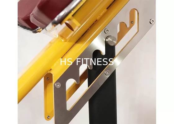 Équipement commercial Roman Ab Exercise Chair de forme physique de support de banc de poids de gymnase
