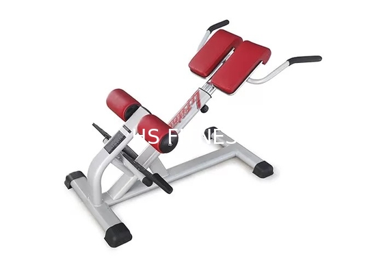 Pro banc commercial d'extension de dos d'équipement d'exercice de support de gymnase