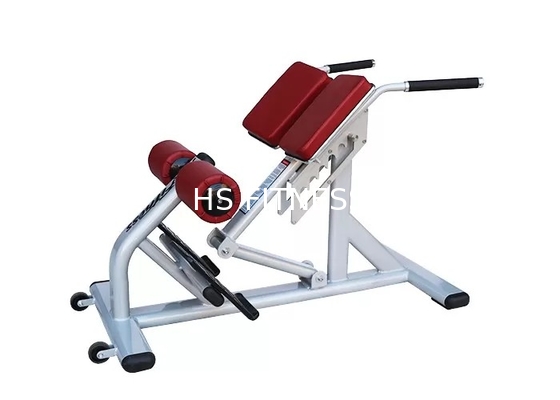 Pro banc commercial d'extension de dos d'équipement d'exercice de support de gymnase