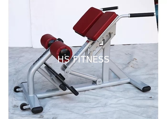 Pro banc commercial d'extension de dos d'équipement d'exercice de support de gymnase