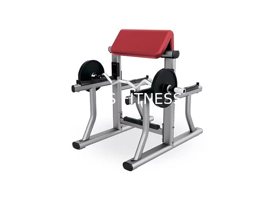 Équipement à la maison de boucle de bras de biceps de forme physique de séance d'entraînement de petit de gymnase de poids support de banc