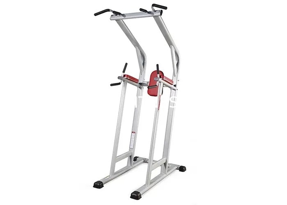 La force commerciale d'équipement de gymnase de forme physique de la vie a aidé Chin Dip Leg Raise Machine