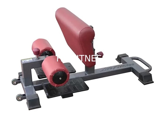 Musculation réglable de Sissy Squat Rack Machine For de qualité marchande