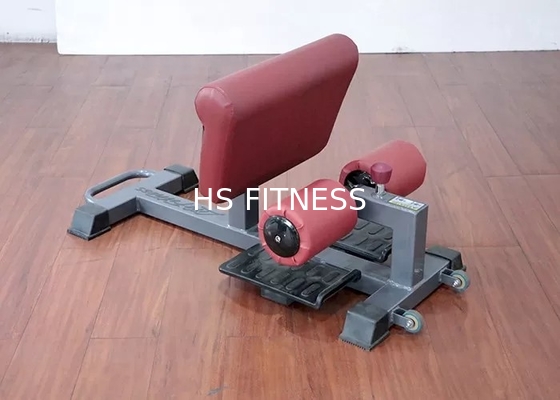 Musculation réglable de Sissy Squat Rack Machine For de qualité marchande