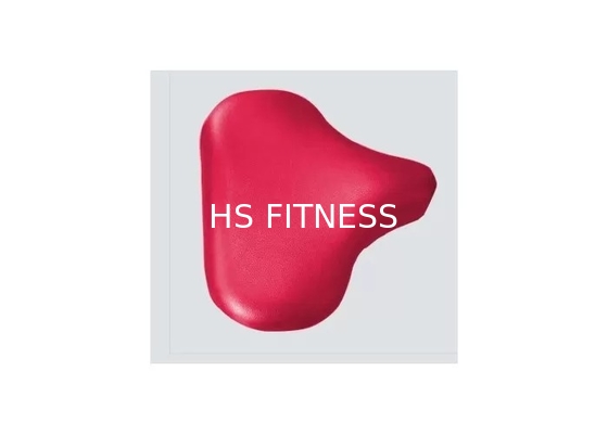 Équipement d'intérieur de gymnase de qualité marchande, machine de boucle de biceps posée par forme physique de la vie