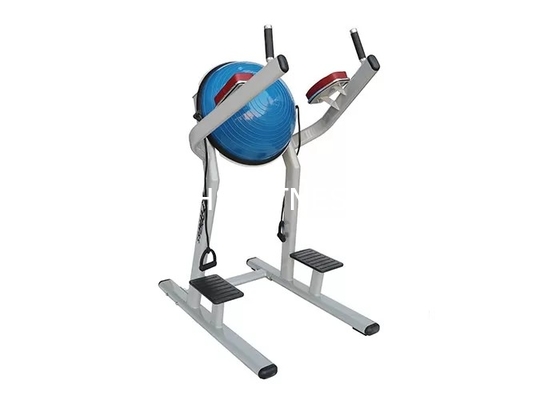 Machine de boule d'équipement/Chin Dip Leg Raise With Bosu de séance d'entraînement de forme physique de vie
