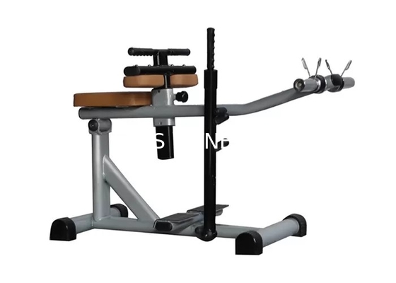 machine de veau posée par force durable en acier de forme physique de la vie de gymnase de 66kg Q235