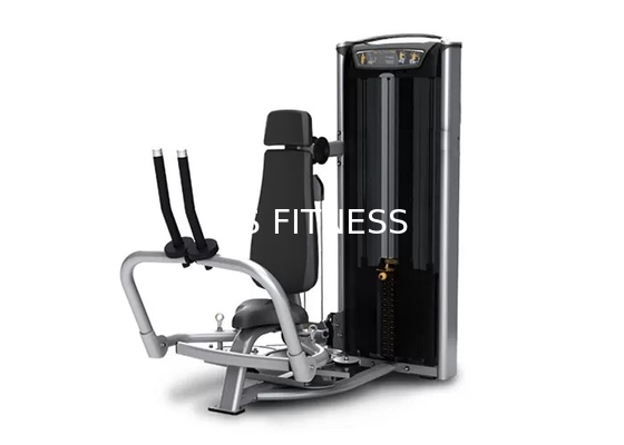 La mouche arrière Matrix de PEC de Delt folâtre la machine d'intérieur de forme physique de Matrix d'équipement de gymnase de HS