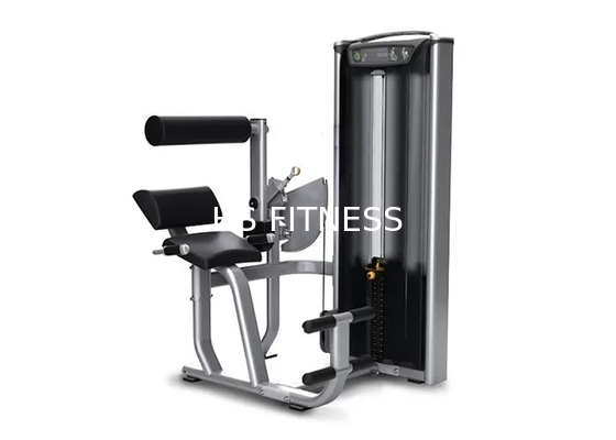 Professional Matrix Exercise Equipment Seated Back Extension Machine