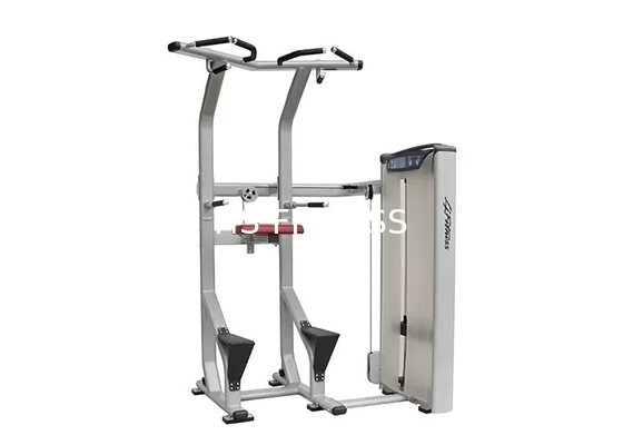 Assisted Dip Chin Strength Training Machine , Professional Matrix Bodybuilding Equipment