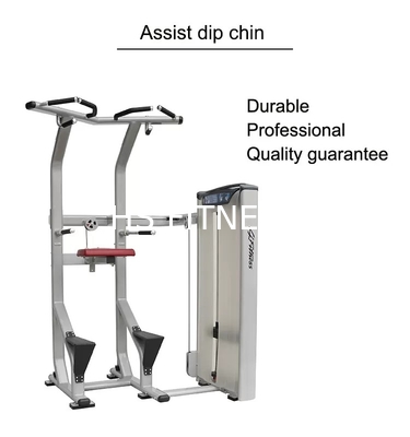 Assisted Dip Chin Strength Training Machine , Professional Matrix Bodybuilding Equipment