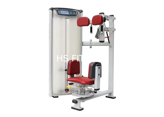 Pistolage électrostatique de bodybuilding d'ODM de machine rotatoire commerciale de torse