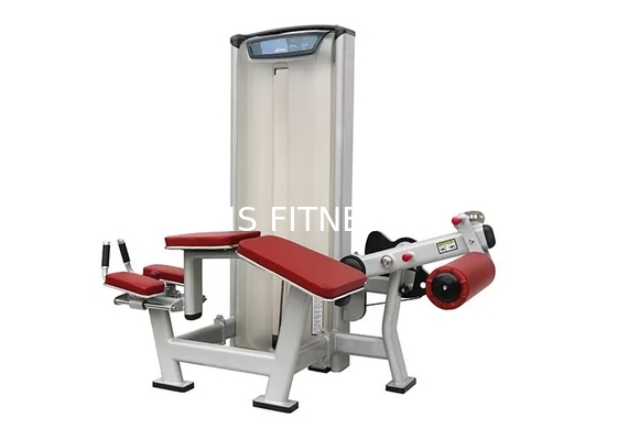 Machine encline d'exercice de boucle de jambe d'équipement de séance d'entraînement de Matrix de gymnase d'OEM