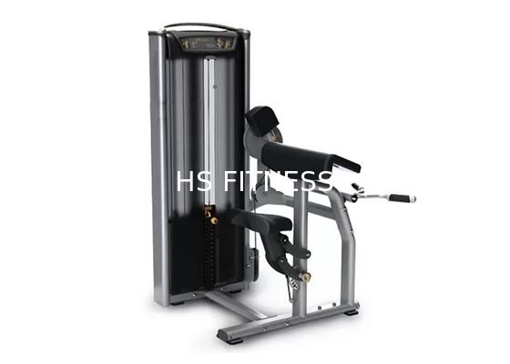 Machine de boucle de biceps de matériel de formation de force de Matrix de gymnase