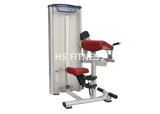 Machine de boucle de biceps de matériel de formation de force de Matrix de gymnase