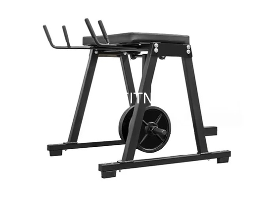 Le plein plat en acier noir de force de marteau d'équipement du gymnase Q235 a chargé l'entraîneur hyper inverse