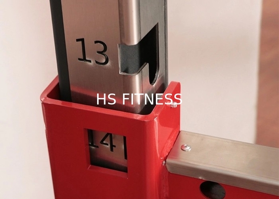 Support accroupi du gymnase Q235 de puissance commerciale multi d'équipement avec Logo Customized