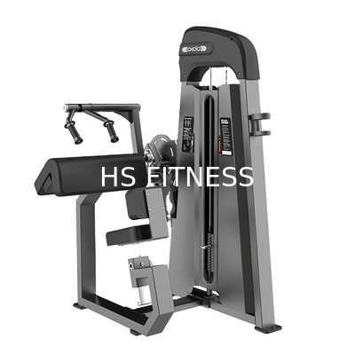 Machine posée commerciale de triceps pour la séance d'entraînement de club de gymnase