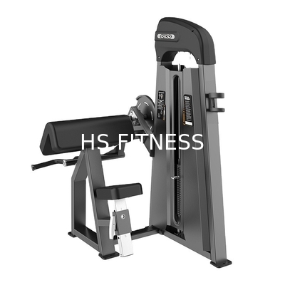 Machine de biceps posée par séance d'entraînement de gymnase pour la force de musculation